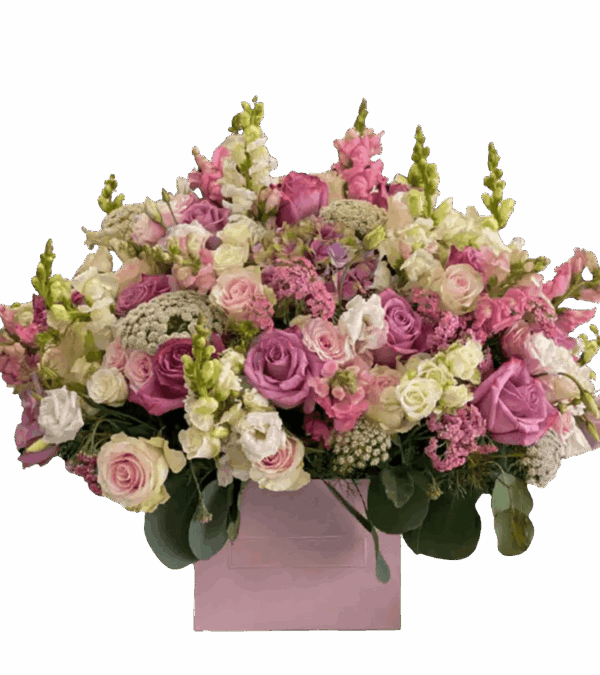 Crazy Soft & Pink