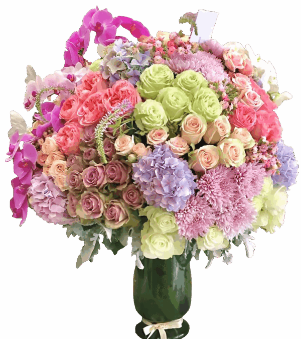 Pinky & Orchids