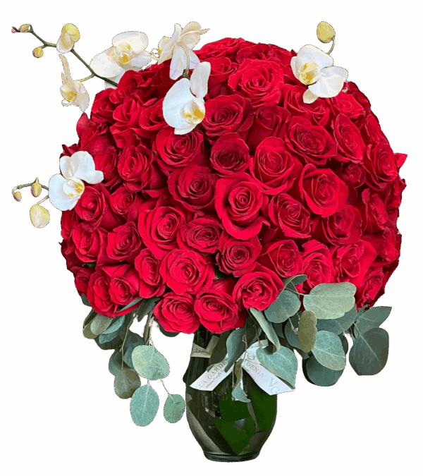 Red Kiss