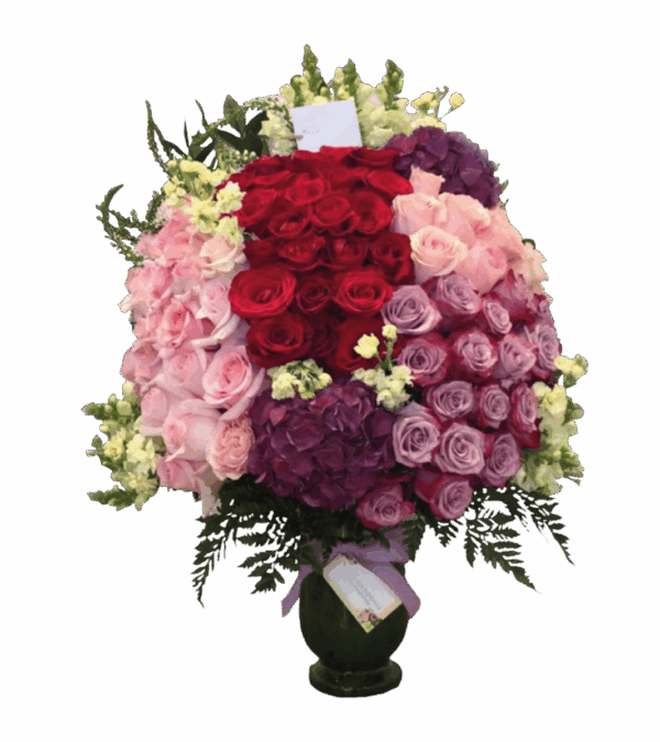 Rebirth Roses