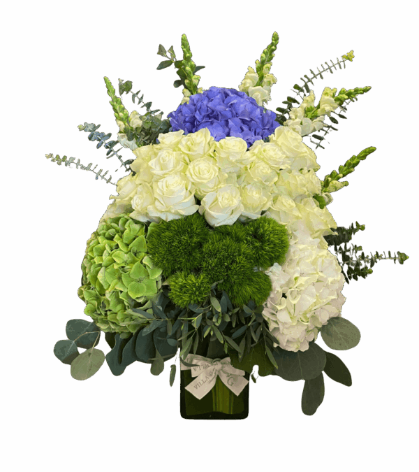 Happy Green & Blue
