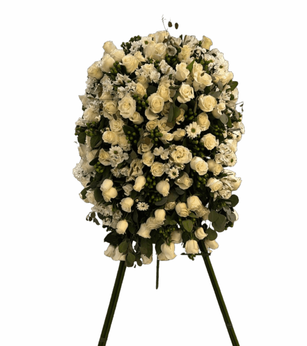 Tripod Blessings