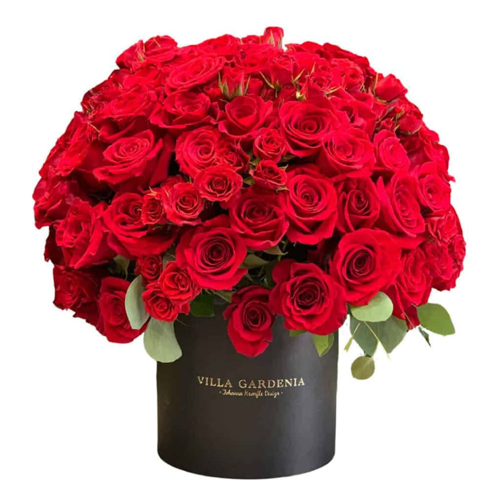 ADD_VG101_01_BeMineRoses_Transparente1 Be Mine Roses - Imagen 1