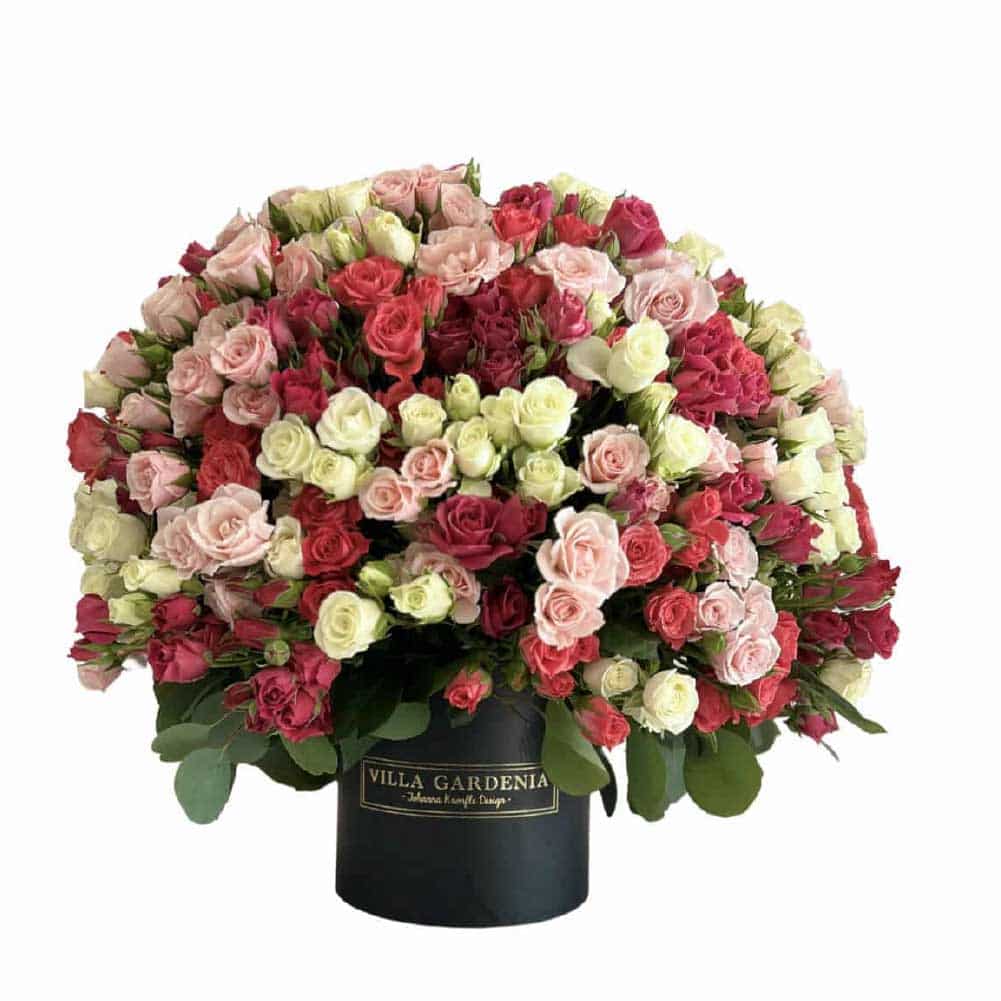 Mini Roses Colors Box