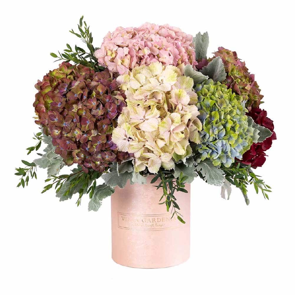 Just Hydrangeas N' Shimmer