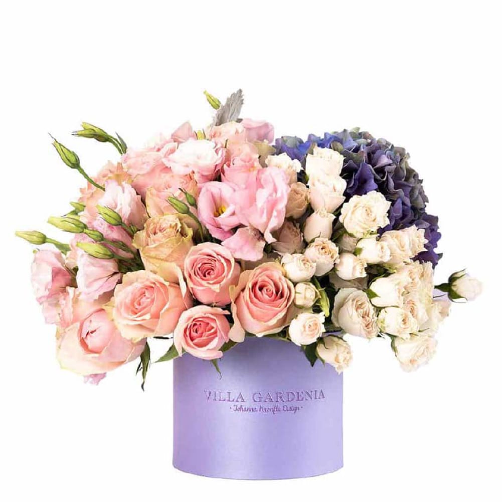Gift For You