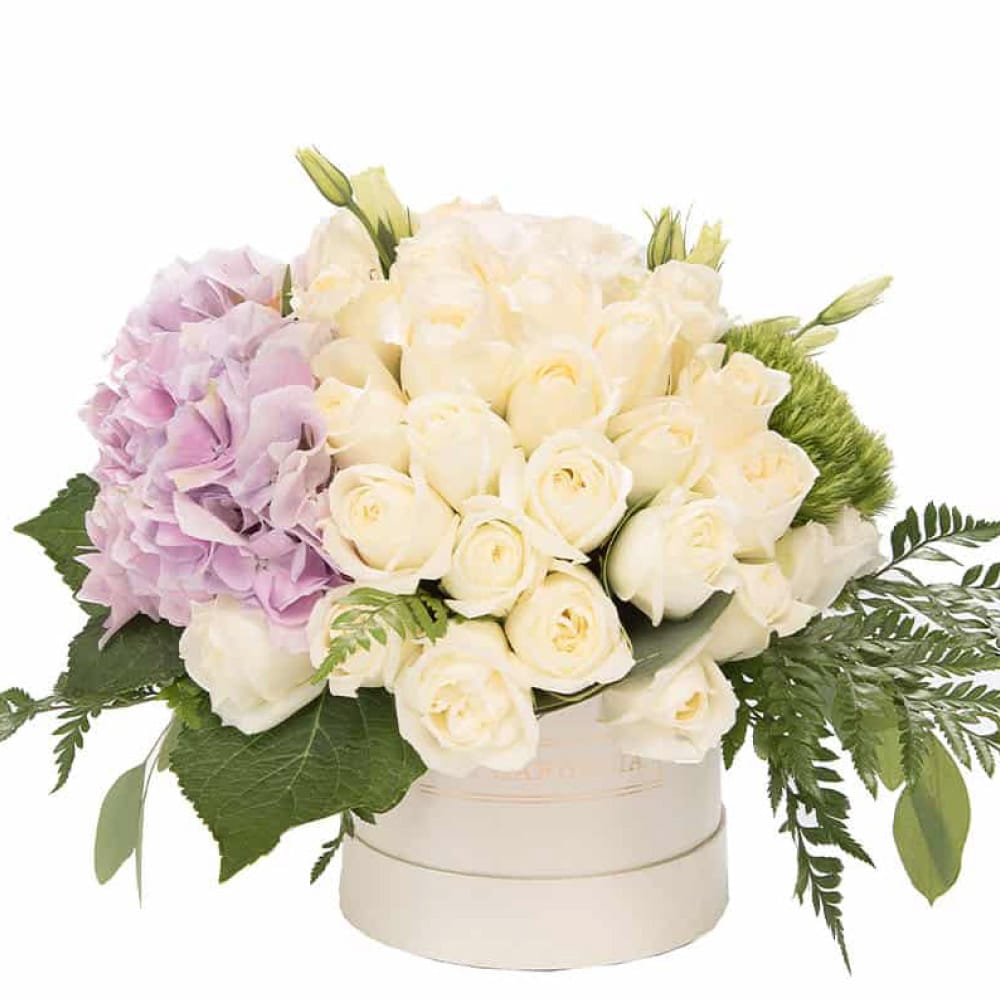 ADD_VG185_03_Kindly3White Kindly White - Imagen 1