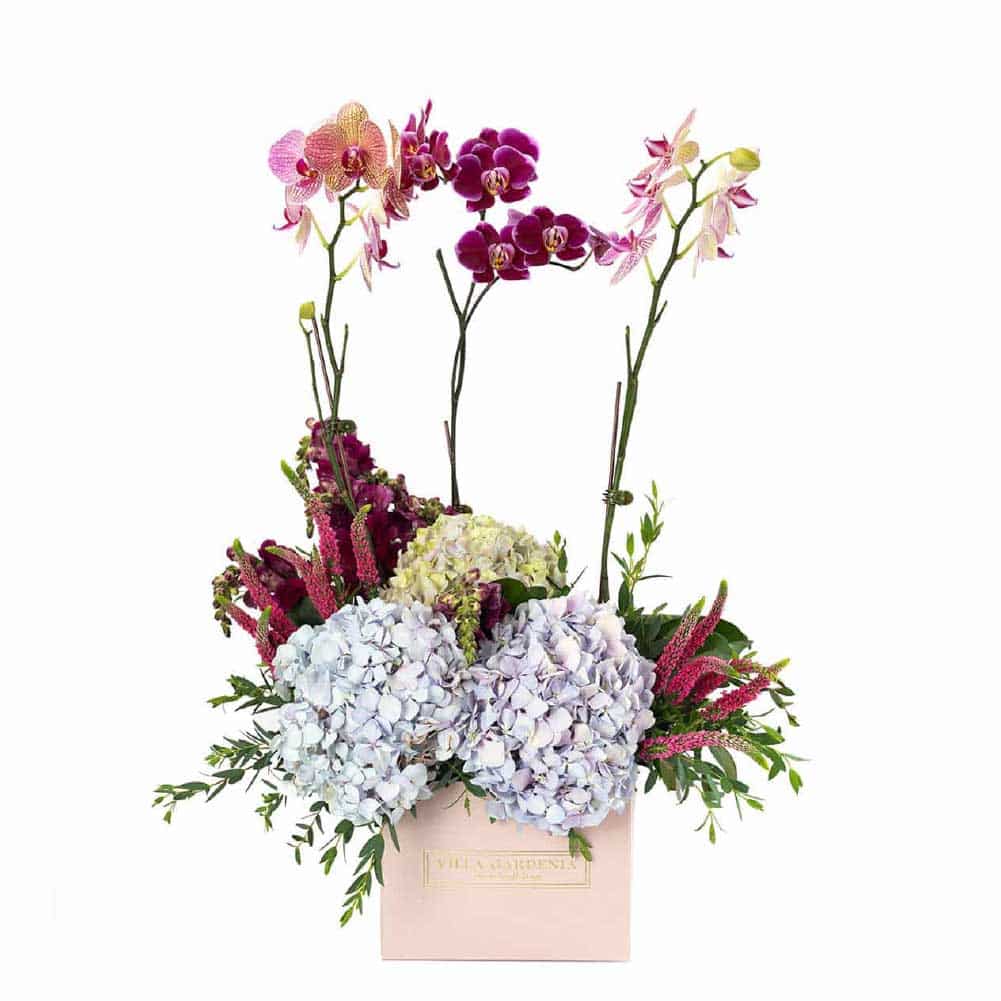 ADD_VG2041 Hydrangeas & Orchids - Imagen 1