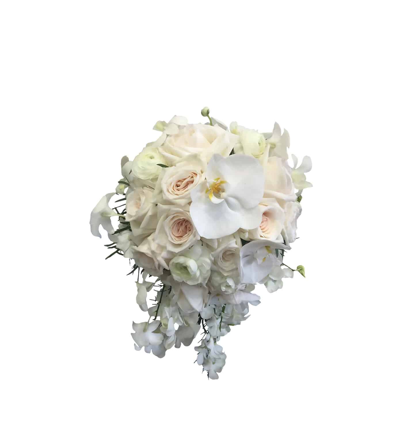 ADD_VG209_WhiteBride_Transparente White Bride - Imagen 1