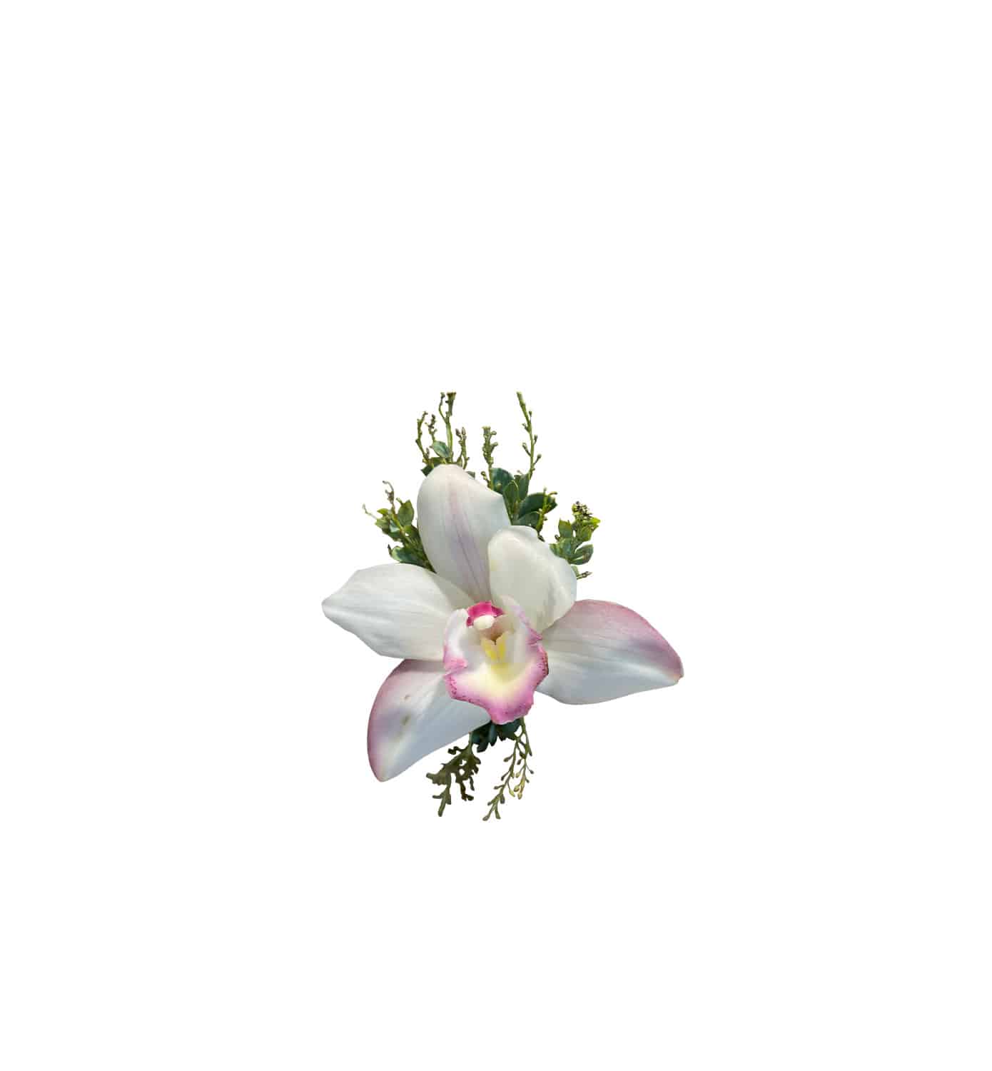 ADD_VG210_OrchidCorsage_Transparente Orchid Corsage - Imagen 1