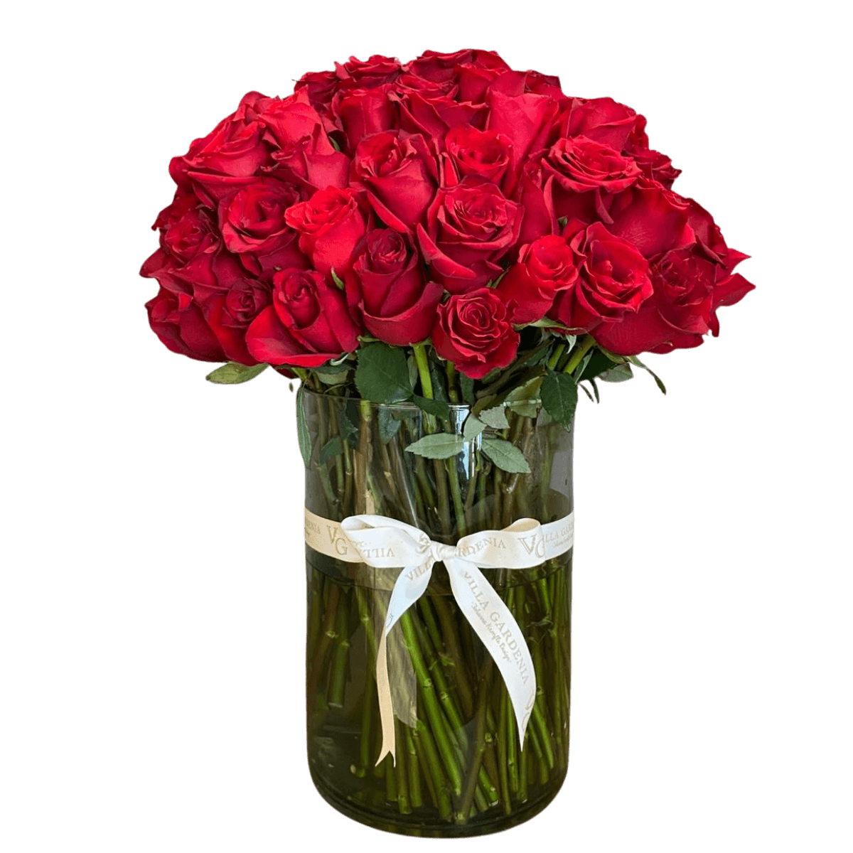 Nothing But Red / Purely Red