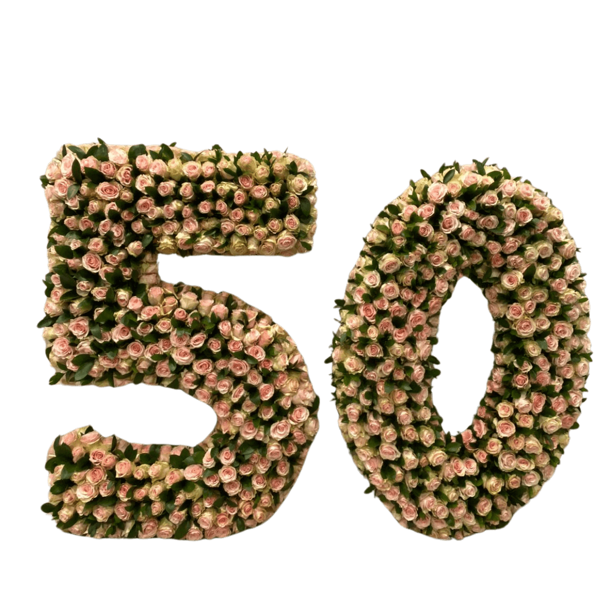 Birthday Numbers