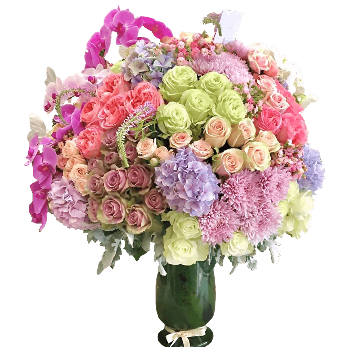 VG-177 SIN FONDO (1) Pinky & Orchids - Imagen 1