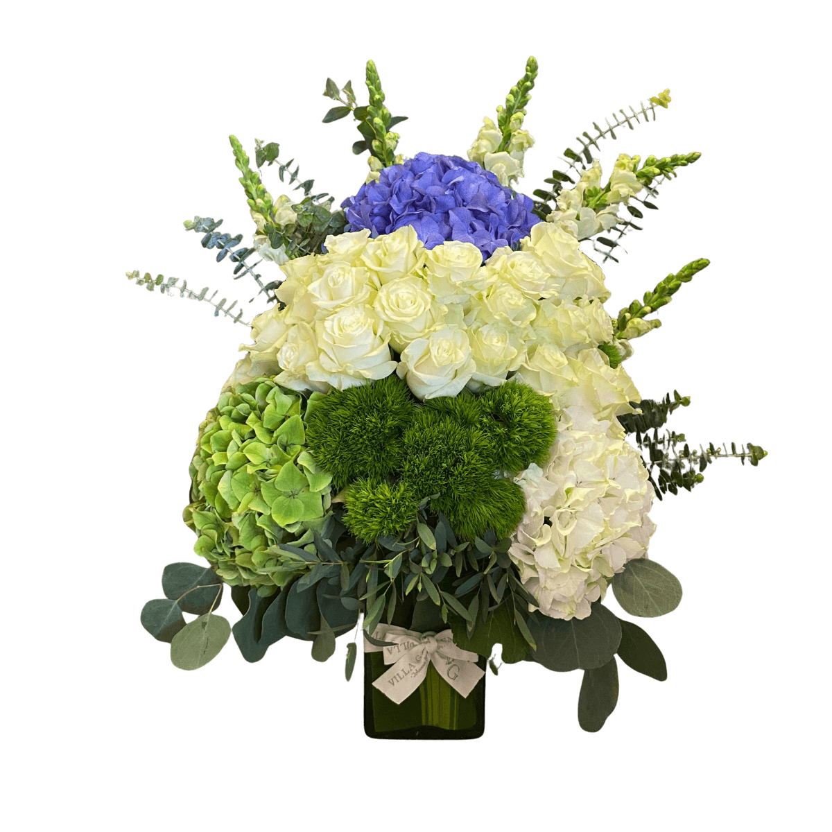 Happy Green & Blue