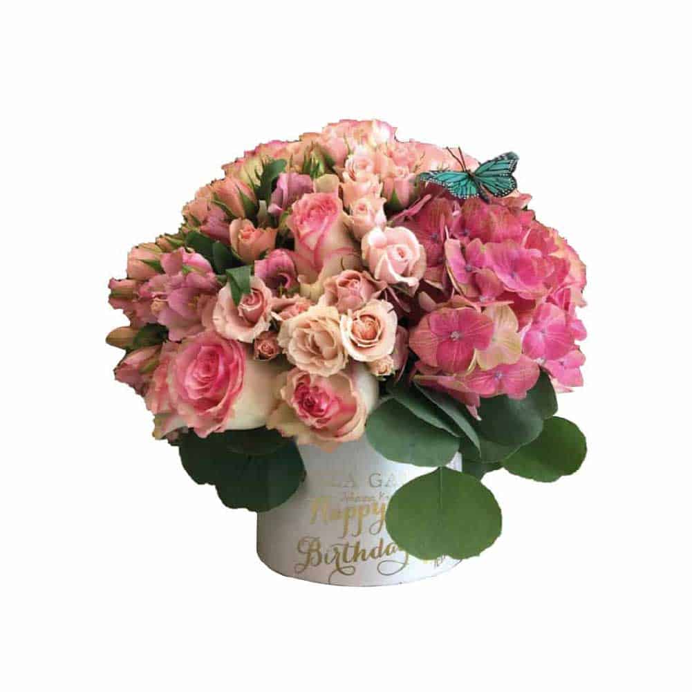 VG-1851 Perfect Soft Mix - Imagen 1