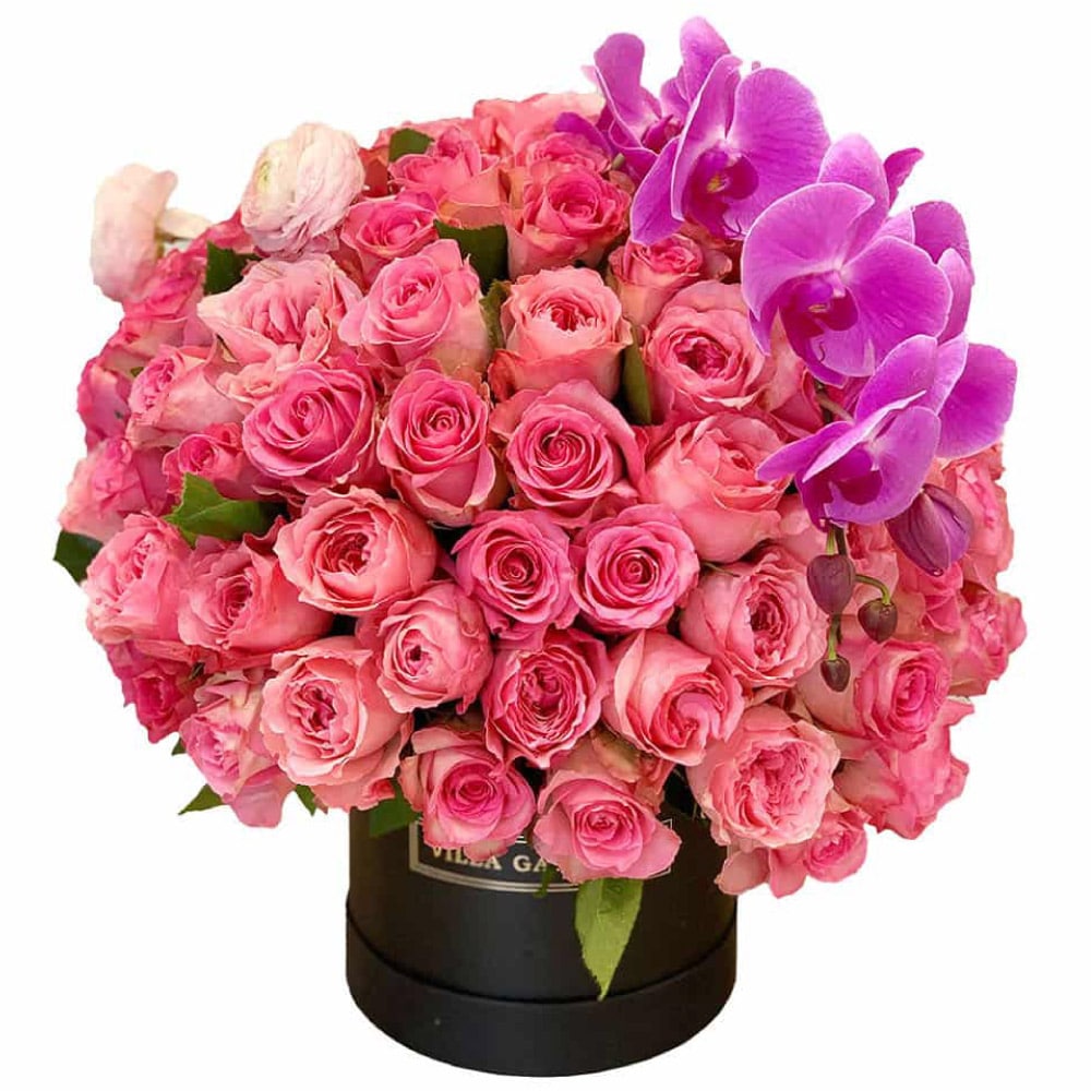 VG-2211 Sweet Passion - Imagen 1