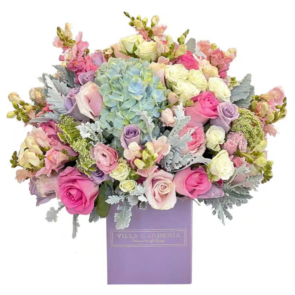 VG1441-1-1 Nice & Sweet - Imagen 1
