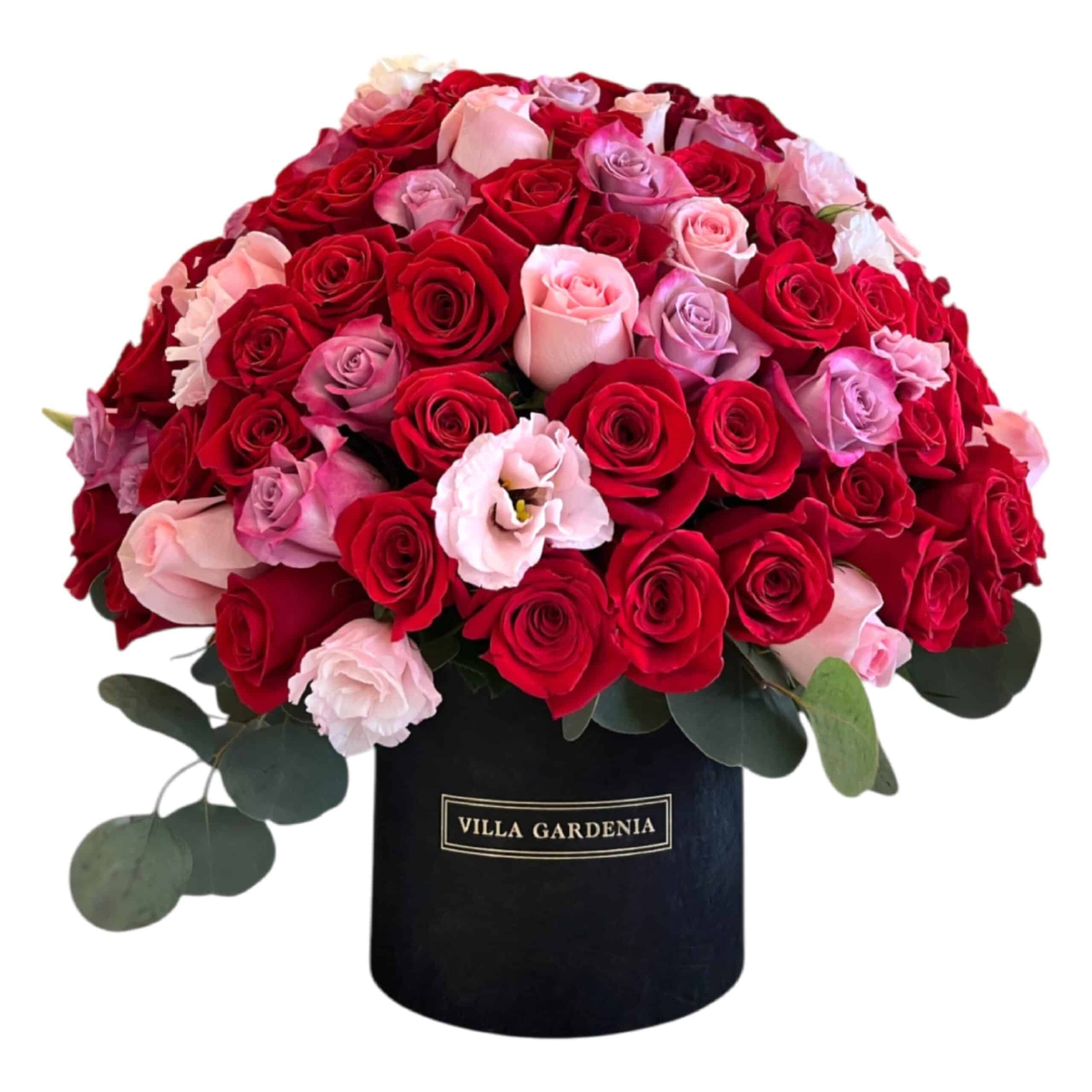 bemine101 (1) Be Mine - Imagen 1